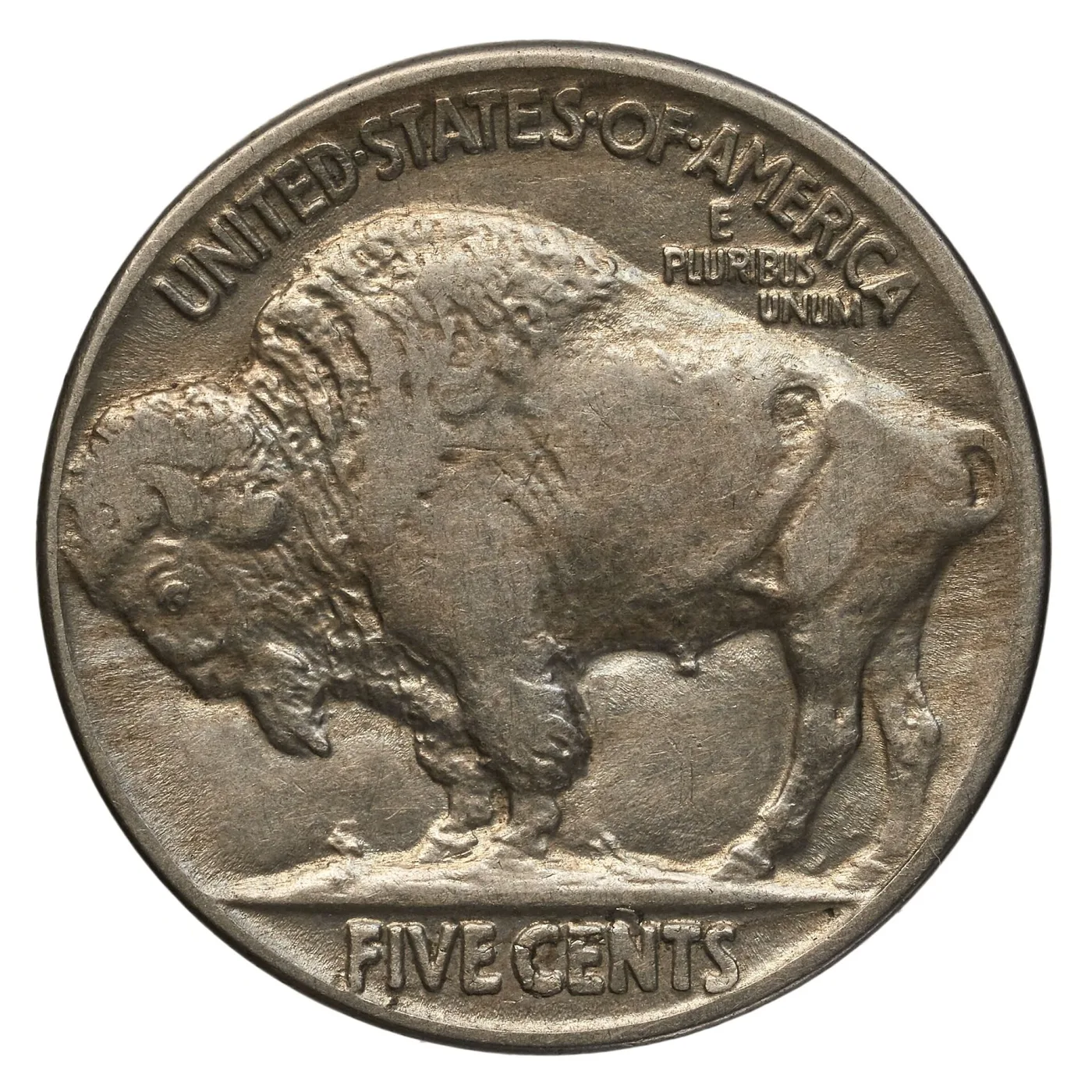 Reverse of the same 1917 Buffalo nickel, the bison in left profile with UNITED STATES OF AMERICA above, E PLURIBUS UNUM to the upper right and FIVE CENTS below a flat exergue line