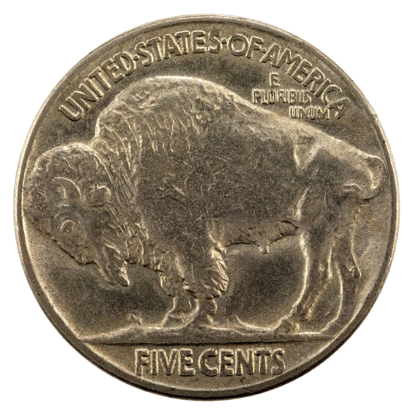 Type 2 Buffalo nickel reverse, the bison standing on a straight flat exergue line with FIVE CENTS in the recess below the line