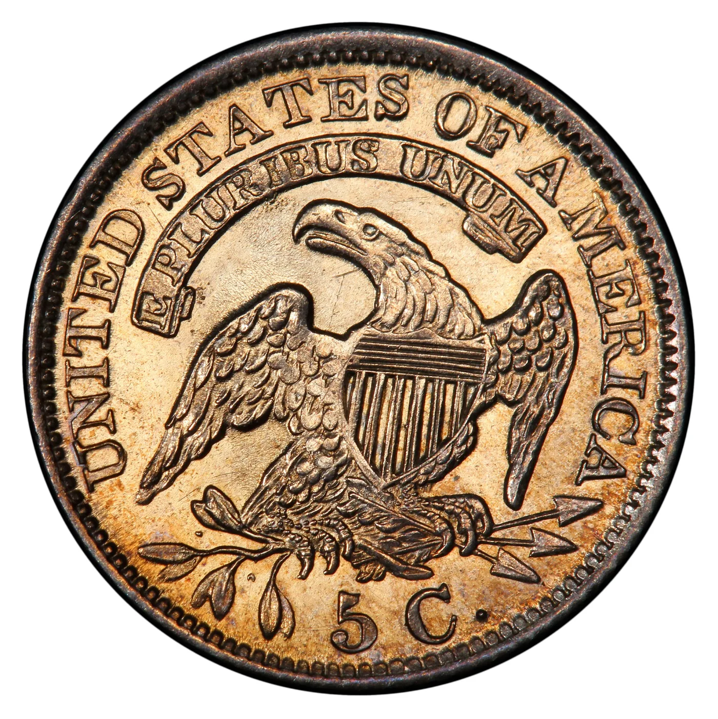 Reverse of an 1831 Capped Bust half dime enlarged, showing the spread eagle with a striped shield, arrows and an olive branch, E PLURIBUS UNUM on a scroll, and 5 C. below