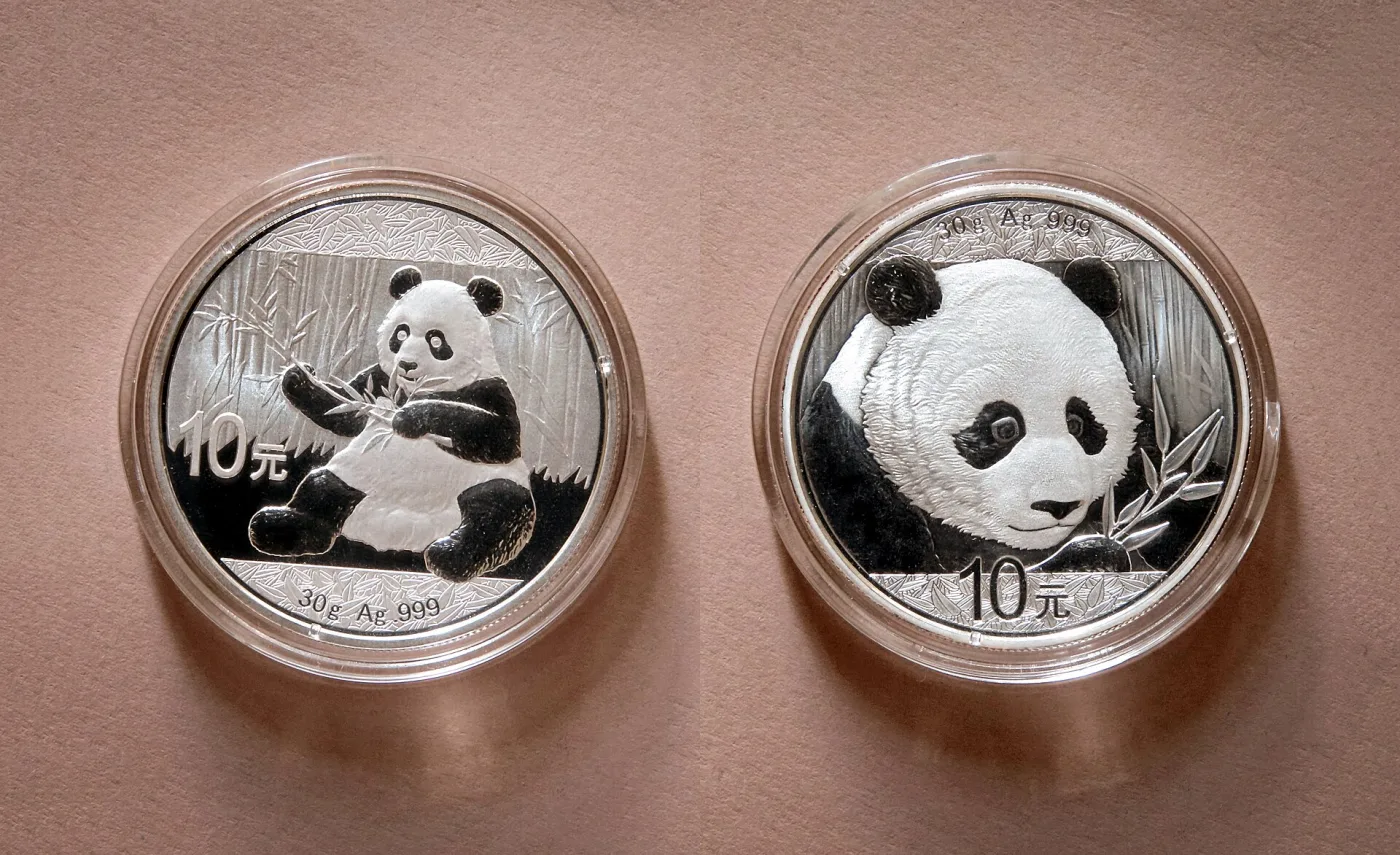 Several modern Chinese silver bullion coins, each showing a panda among bamboo, arranged together
