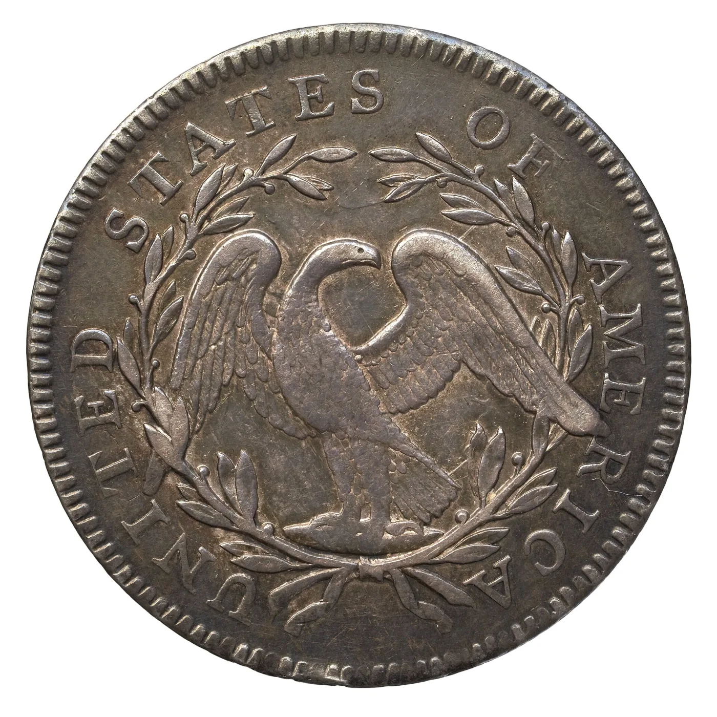 High-resolution reverse of a 1795 Flowing Hair half dollar showing the eagle's wings and the leaf clusters tucked beneath each wing tip