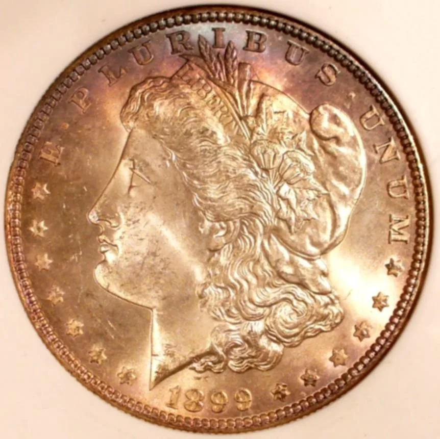 Obverse of an 1899 Morgan dollar, Liberty facing left in a cap lettered LIBERTY with cotton bolls and wheat in her hair, E PLURIBUS UNUM arcing above and the date at the bottom