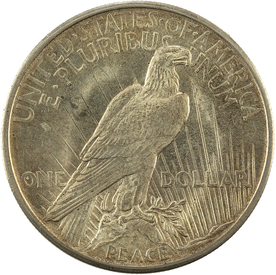Reverse of a 1921 Peace dollar showing a bald eagle facing right with folded wings, perched on a rock, an olive branch in its talons and PEACE lettered below