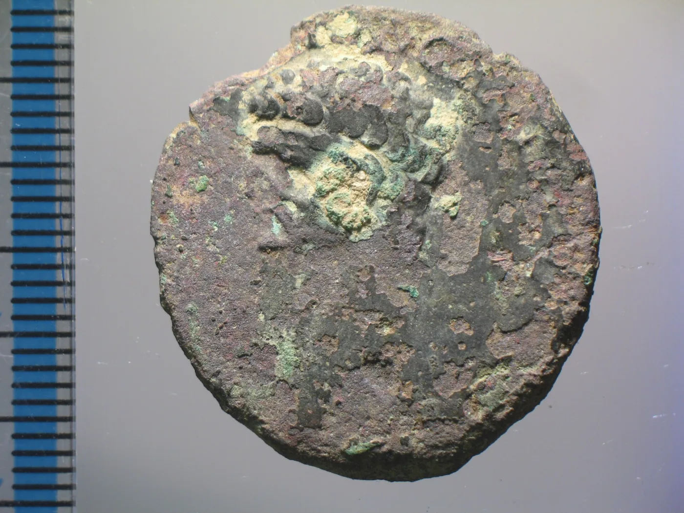 Close photograph of a large, corroded Roman copper-alloy coin with a bare head facing left and a millimetre scale along the edge