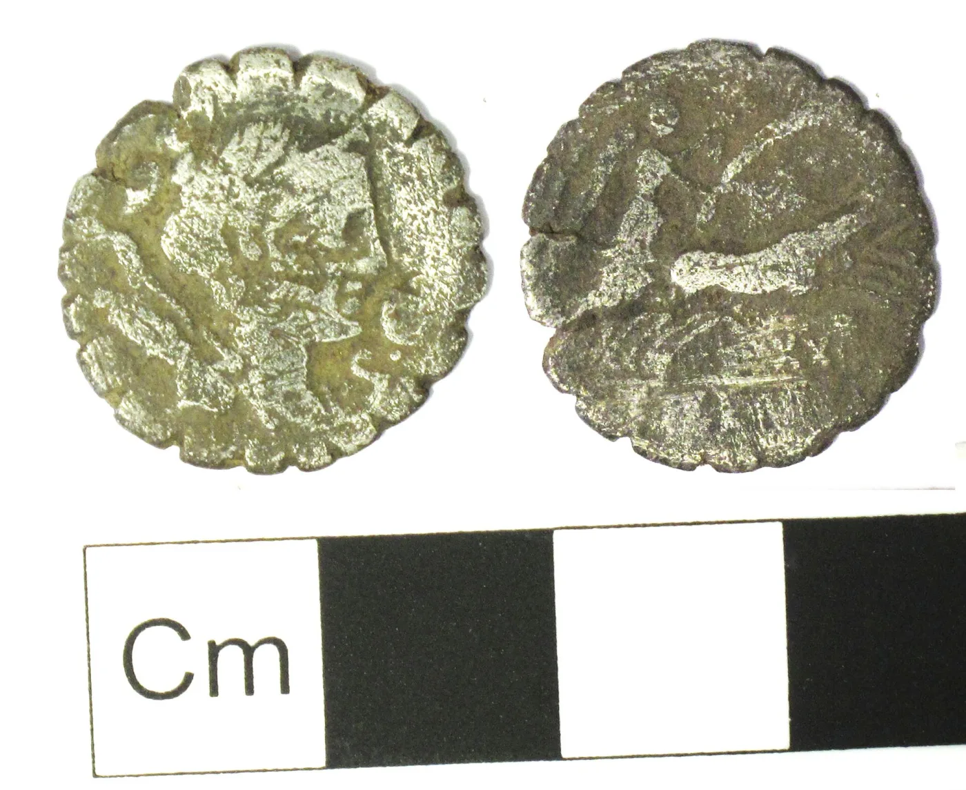 Worn Roman Republican denarius serratus with a notched, saw-toothed edge all the way round, showing a head on one side and a chariot on the other, beside a centimetre scale